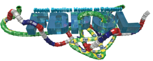 French Brazilian Meeting on Polymers